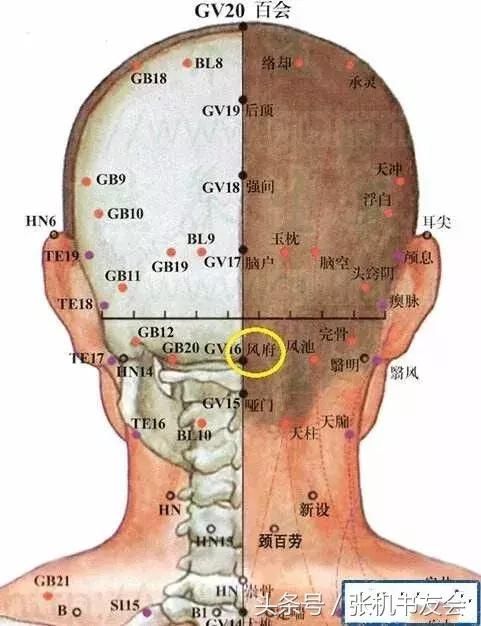 人体三百六十穴之定位歌诀