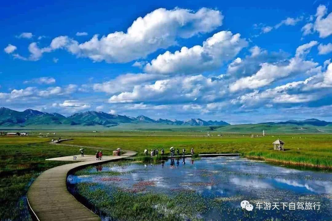西藏太挤了,我要去甘南!除了海拔,藏区的一切甘南都有