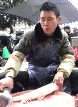 搞笑gif图:皮皮虾我们走,一起去找个女朋友!