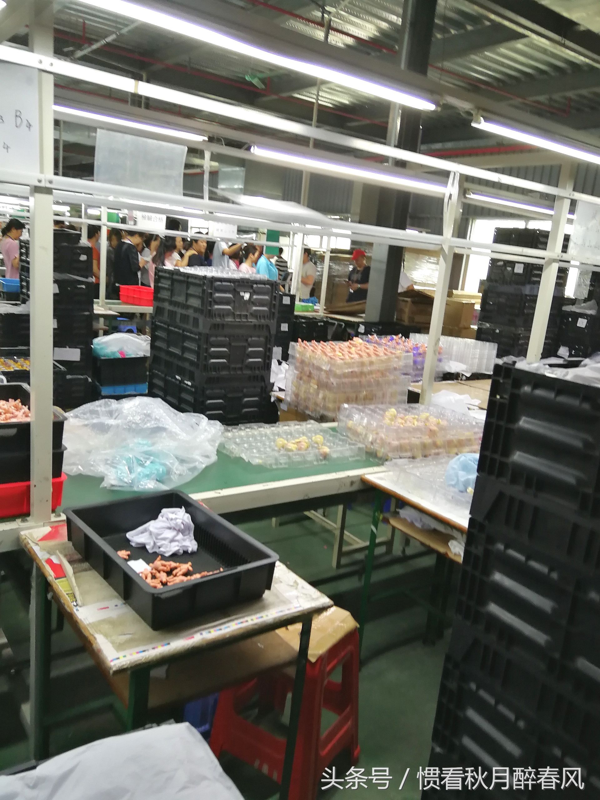 探访东莞某玩具厂车间,这样的工厂你觉得如何?