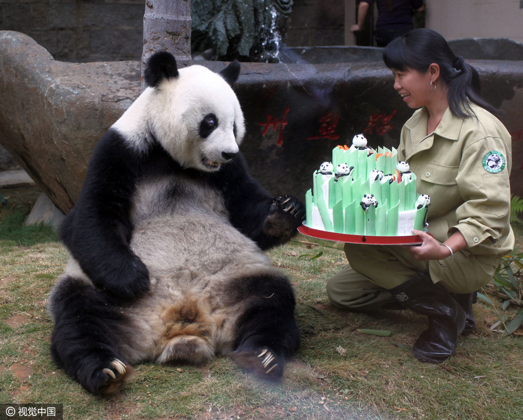 世界自然保护联盟:大熊猫不再濒危 降级至易危