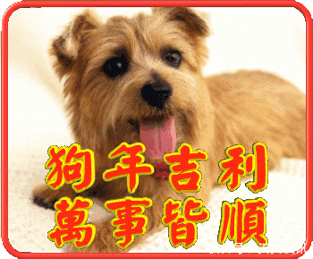 辞旧迎新拜大年,恭祝大家狗年吉祥,万事如意!