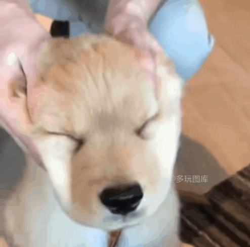 全球搞笑gif:第一次见到女朋友素颜,失望中带点恐惧 全球搞笑gif:死鬼