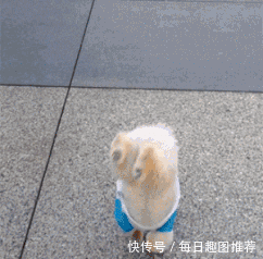 搞笑gif:看看,你上课的时候是不是这样