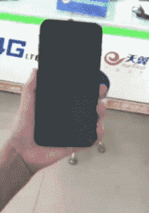 搞笑gif动图:小女孩的这条坐骑,真真霸气!