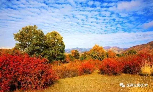 新疆博乐景区(风景篇)