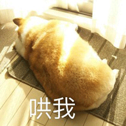 微信发 动图 默认变为 表情 动物趣视为本期图片做了肉眼不可见的动态
