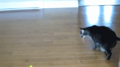 大王爆笑gif趣图:女司机的车位都敢觊觎呢-北京时间