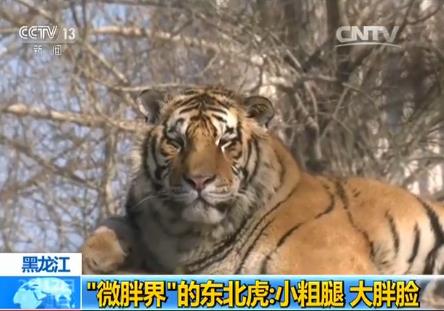 现场探访