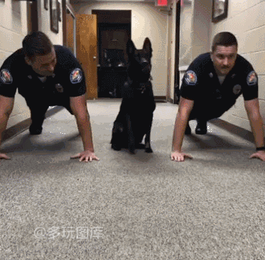 搞笑gif:新郎你老婆这样被兄弟们欺负,你居然咽得下这