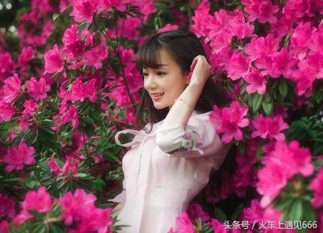 走进贵州毕节:最惜杜鹃花烂漫,春风吹尽不同攀