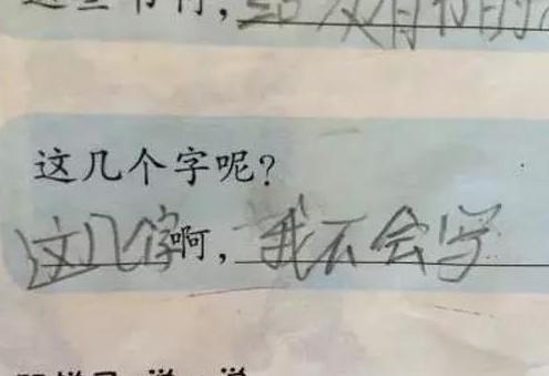 真正的段子手?其实是小学生!不得不服气