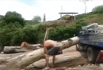 搞笑gif:究竟是受了什么样的打击,才会让他有了这种想法