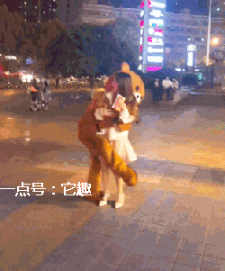 搞笑gif:穿上这身衣服,真的可以为所欲为啊?