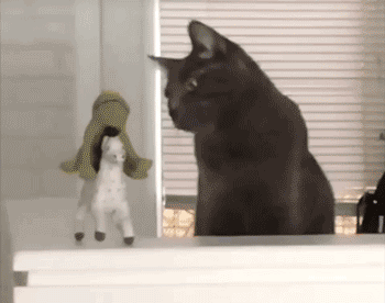 随风飘;清风吹,鸟儿叫,风筝轻轻放的高;春已走,夏已到,这就带你去吃草