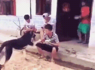 这个也不是很搞笑 我只看了二十遍而已