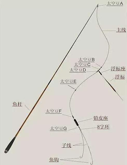 钓鱼新手必看,台钓钓法的原理,全面解析