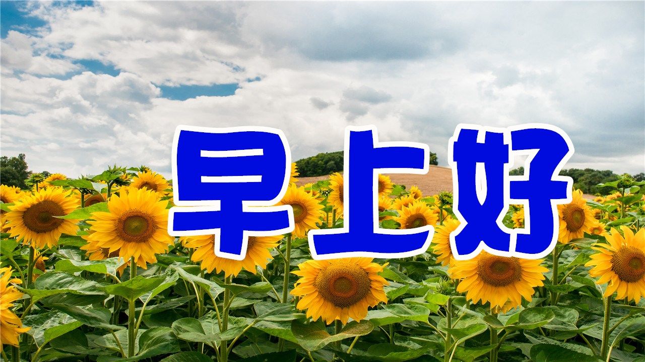 晚上好!最美的鲜花送给你,里面有我对你的思念和祝福!