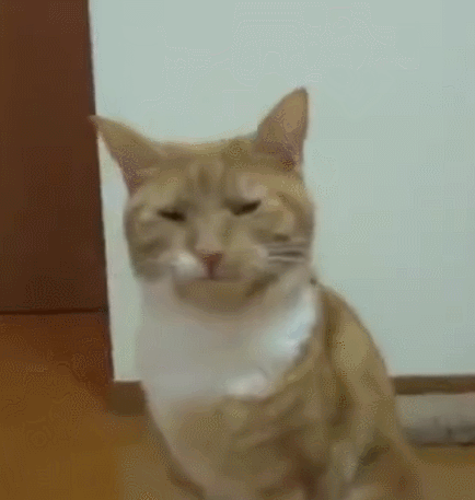 橘猫舔自己的屁股没想到被自己臭懵了,看样子好像是被