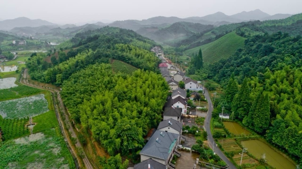 从一个脏乱差的浙北小山村,到建成村域大景区,安吉鲁家用6年时光见证