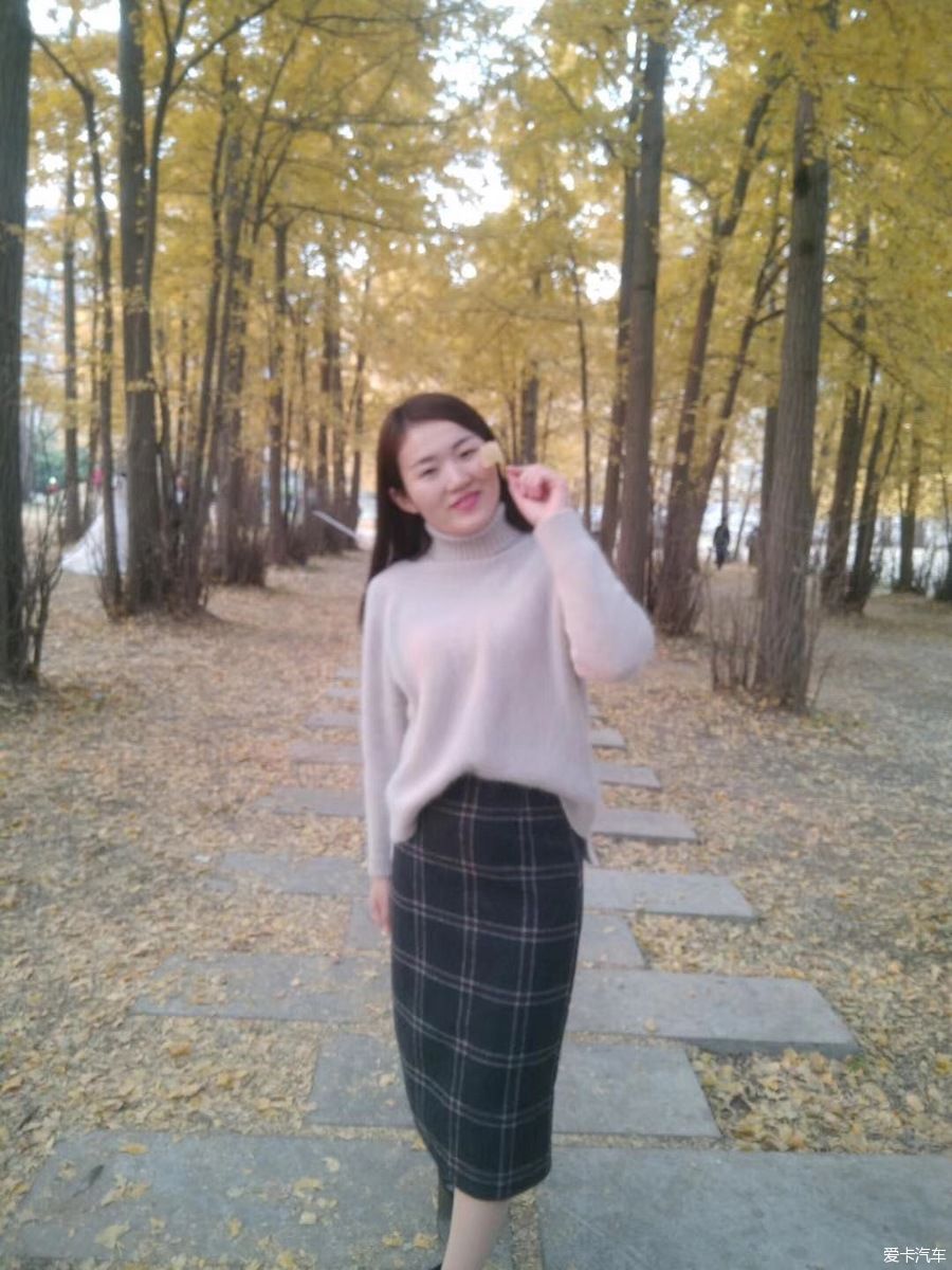 周末有沃,游银杏林,赏美景,看美女