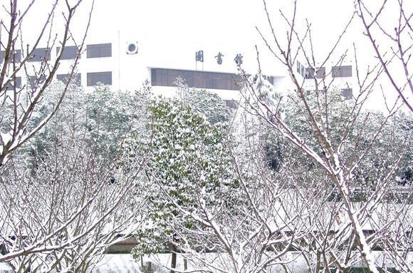 湖南15所高校雪景 美过东北的雪乡 |组照