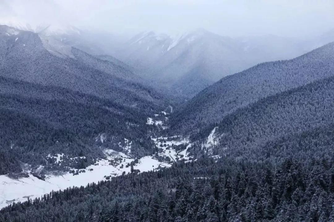 藏东南雪山冰川摄影考察 | 活动招募