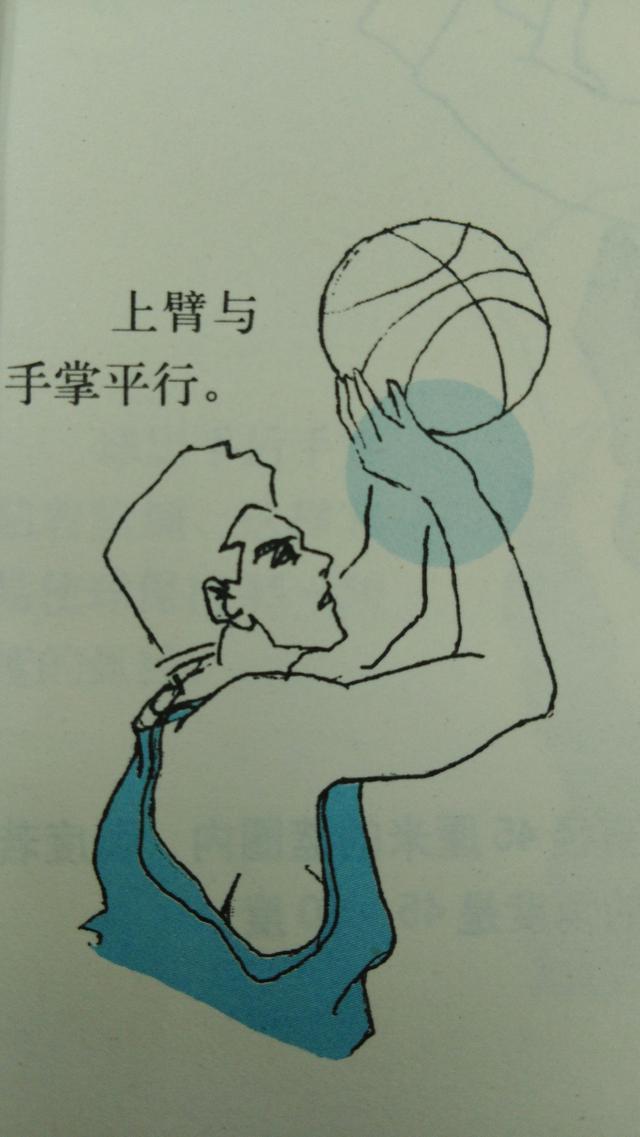 做好这些动作,帮你提高投篮命中率