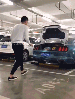 10.第一次见给车磕头的,哈哈哈