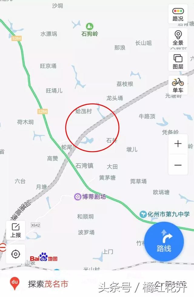 汕湛高速化州石湾段出现"豹子"?化州人快来看