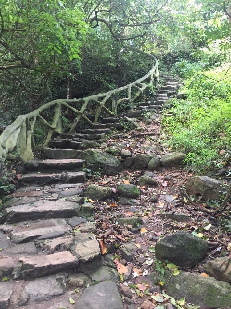 梧桐山秀美风景,拍摄于深圳,偶遇一条花蛇和两头牛