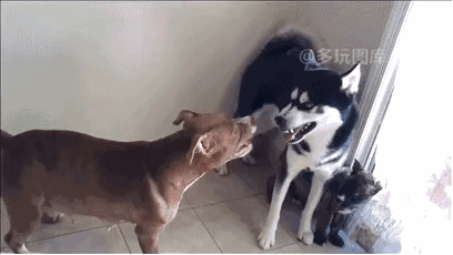 女儿昨晚加完班后 走路的姿势就不太对劲