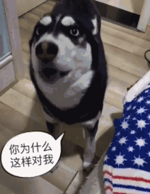 内涵搞笑:看来作业还是太少了,这帮熊孩子们三天不写作业就上房揭瓦!