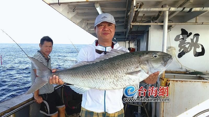 深海斗大鱼 厦门"船长"的海钓梦