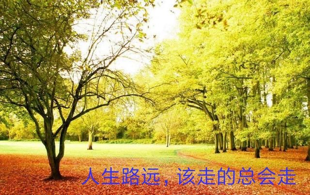 人生难得平常心,该来的总会来,该走的留不住