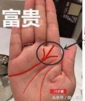 女人"命比黄连"的手相,注定没人疼没人爱,可怜孤独一世!