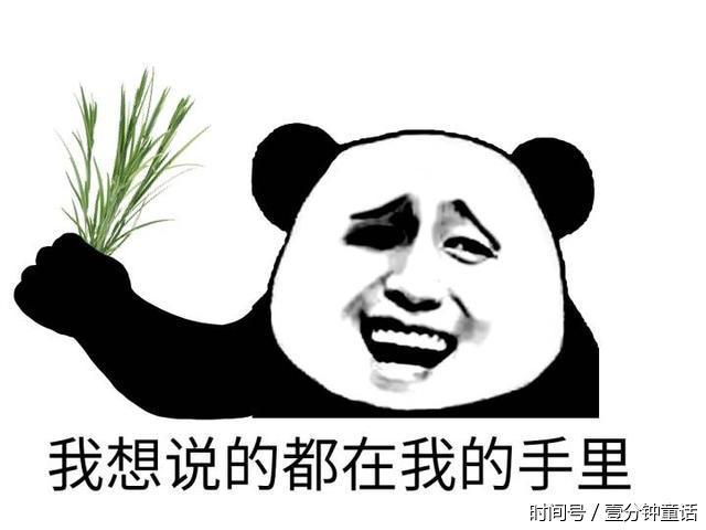 高清无水印熊猫头斗图表情包系列:没时间解释了,快上