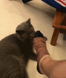 搞笑趣图:大爷年轻的时候 估计也是风流人物啊!