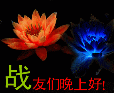 晚上问候,送给最亲爱的你,感谢缘分让我们相遇,感谢有