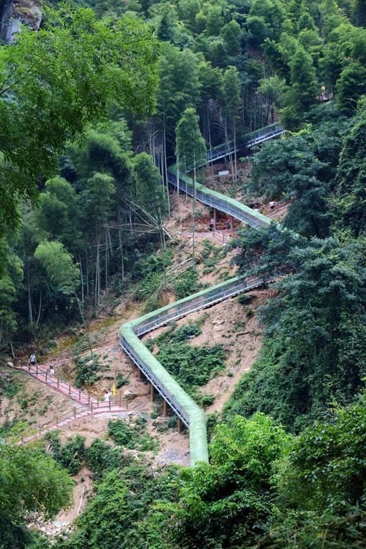 在龙山飞水涯景区的龙山玻璃桥,胆大的市民在玻璃桥上欢快地尖叫