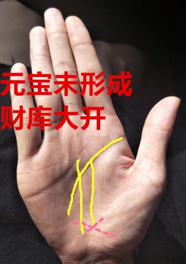 此手相者能大富成大事,只要把握不当可能到头一场空