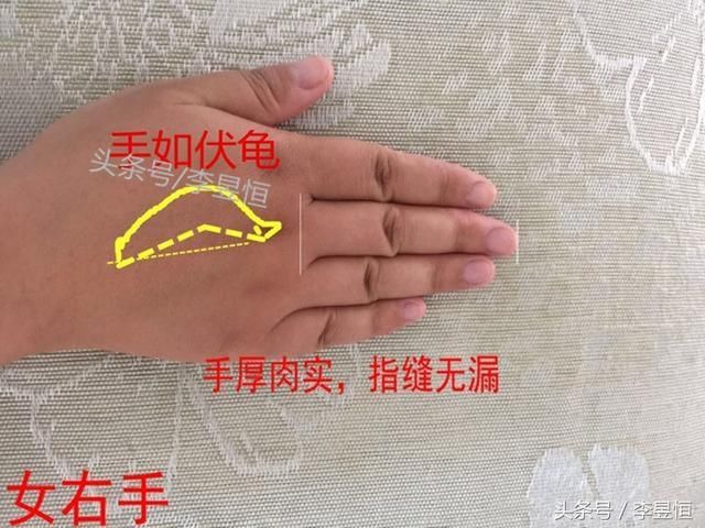 手相:女人手指长短,粗细对人运势的影响!