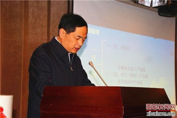 丰县人民政府副县长李吉宁作丰县招商项目推介