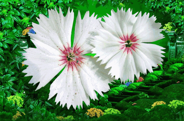 壁纸 花 桌面 640_421 gif 动态图 动图