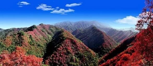 1月3日,大河报三门峡从三门峡甘山国家森林公园管理处获悉,因三门峡