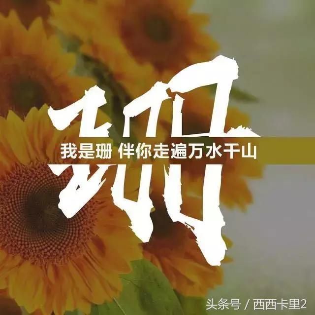 用你的姓氏,姓名制作微信头像,看看有没有你的姓氏