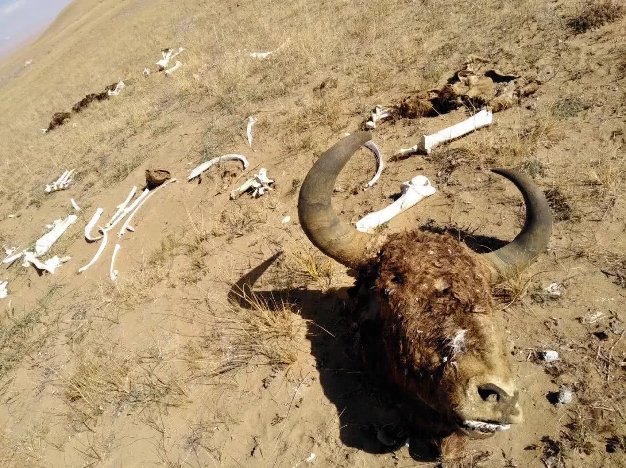 自驾青海,昆仑山死亡谷,穿越"地狱之门"