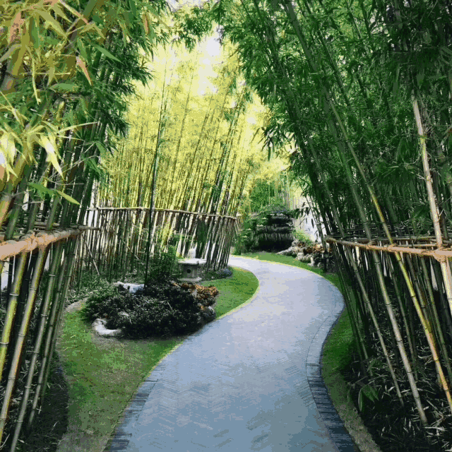 穿竹林而过,见半亭--绿倚亭,半亭中有香山帮独制的胖鼓磴,椽子,戗角等