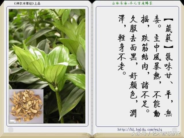 图文详解:中草药药性介绍大全(完整版)干货!