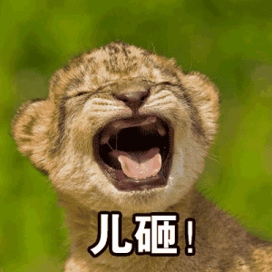 喊儿子表情包:儿砸